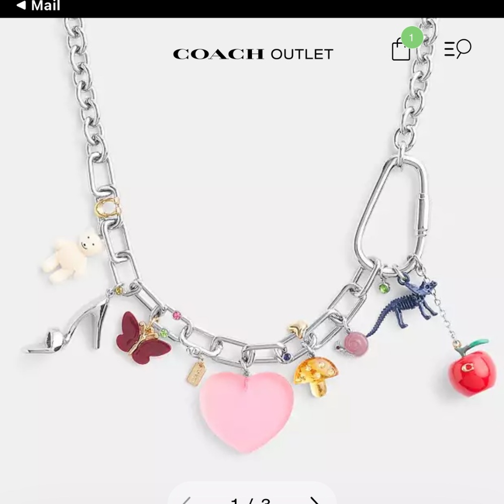 coach necklace